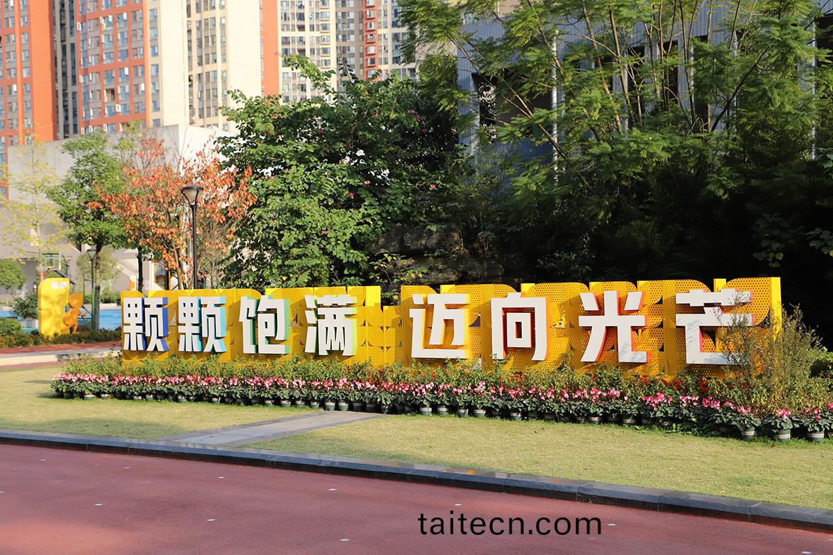 1670034477688484.jpg IMG_5181.JPG