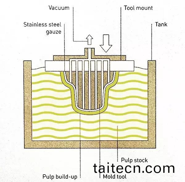 1703224726166492.jpg 4.jpg